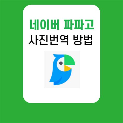 파ㅏㅍ고|파파고 번역 크롬.